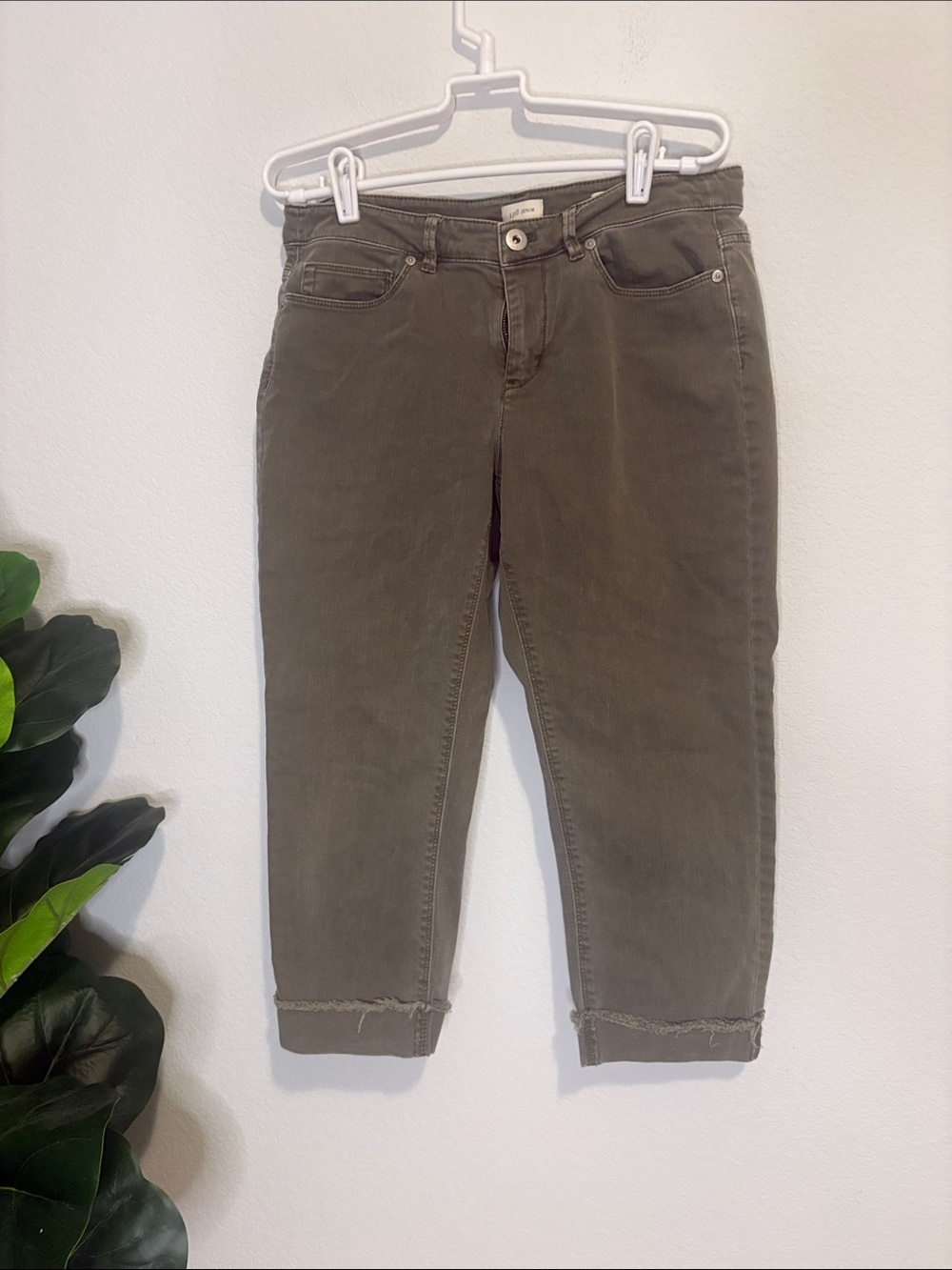 Cropped Olive Green Women's Capri Jeans with Frayed Hem